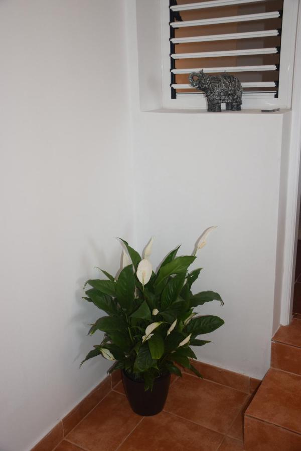 Garoe Acogedor Apartamento Araya  Exterior foto